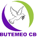  butemeo.com